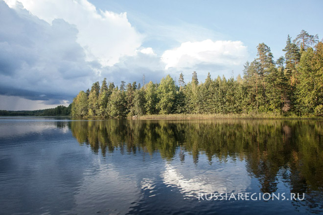Озеро Большое Лесное Выборгский район
