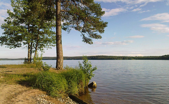 Озеро Лесогорское Выборгского района
