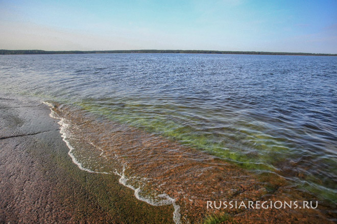 Финский залив, вода цветет, фитопланктон