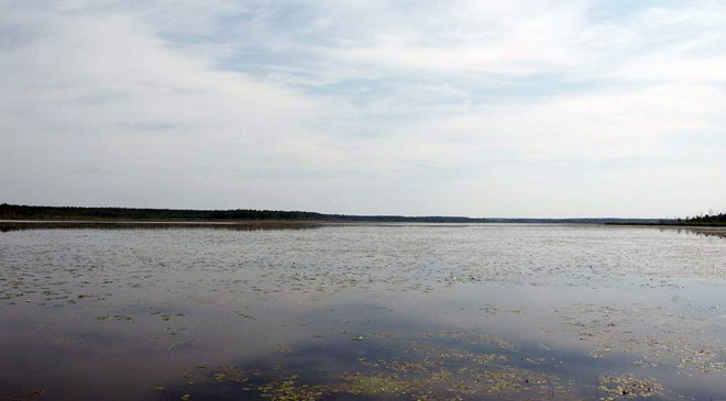 Озеро Большое Кирилловское, Выборгский район Ленинградской области