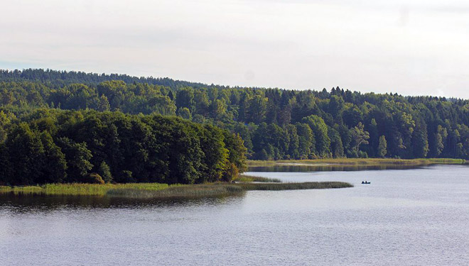 Озеро Красногвардейское Выборгский район