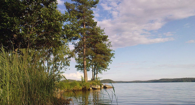 Озеро Лесогорское