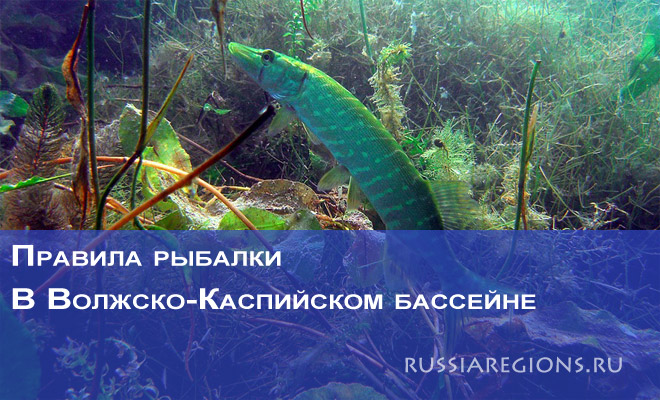 Правила рыбалки в Волжско-Каспийском бассейне