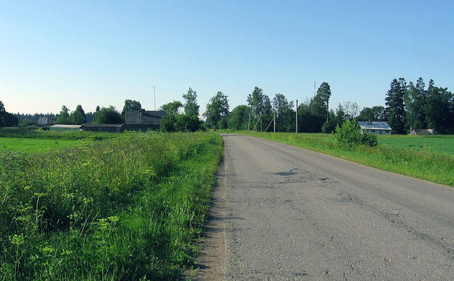 Волосовский район, деревня, дорога
