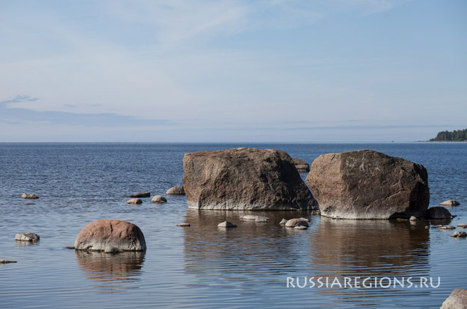 берег Финского залива
