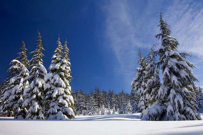 Лес, зима, Карелия, новогодние праздники