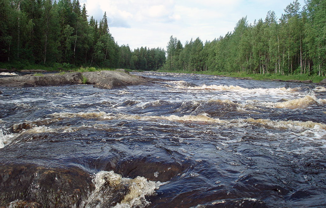 Река Воньга, Лоухский район, Карелия