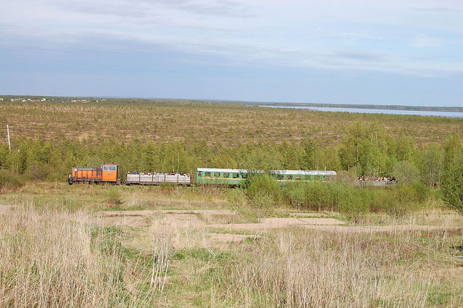 Узкоколейная железная дорога в Архангельской области