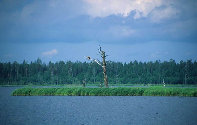 Пудожский район Карелии озеро Водлозеро